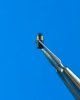 Point of no Return 3522016 Granaty 40mm M397 1/35